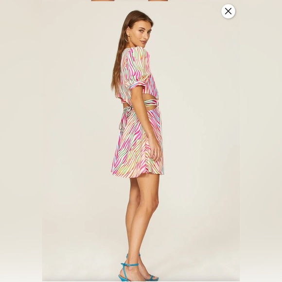 AMUR Cole Cutout Mini Dress - Picture 2 of 5